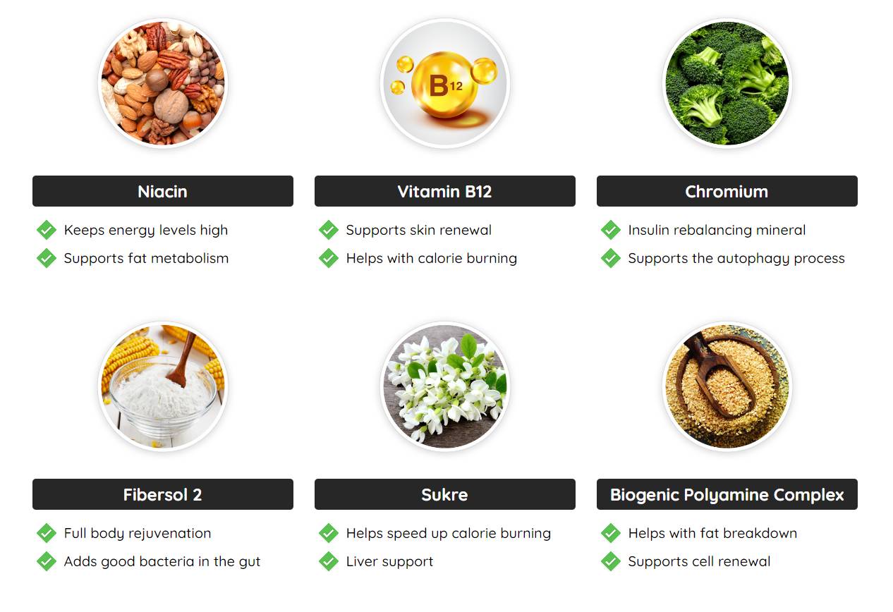 FastLeanPro Supplement Facts